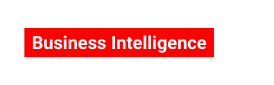 Business Intelligence